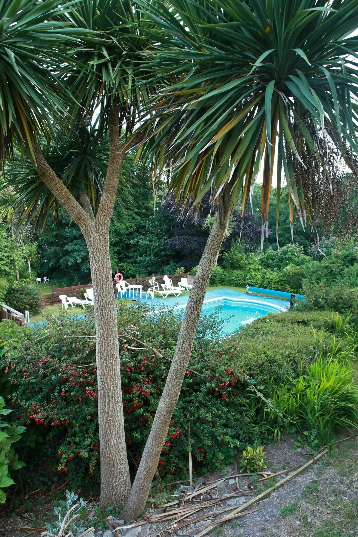 Epchris House Ξενοδοχείο Ilfracombe Εξωτερικό φωτογραφία